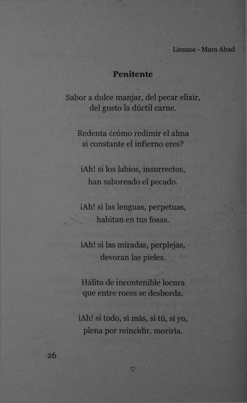 Pagina 28 de Lienzos