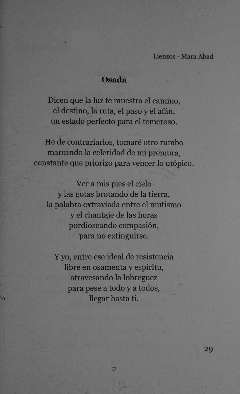 Pagina 31 de Lienzos