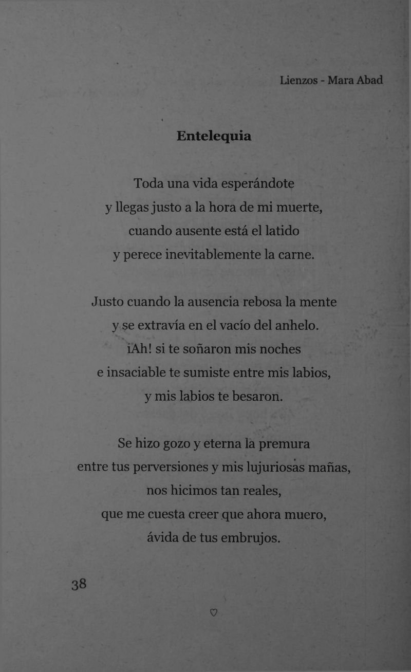 Pagina 40 de Lienzos