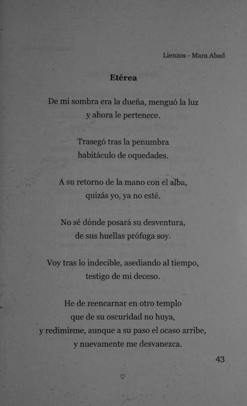 Pagina 45 de Lienzos