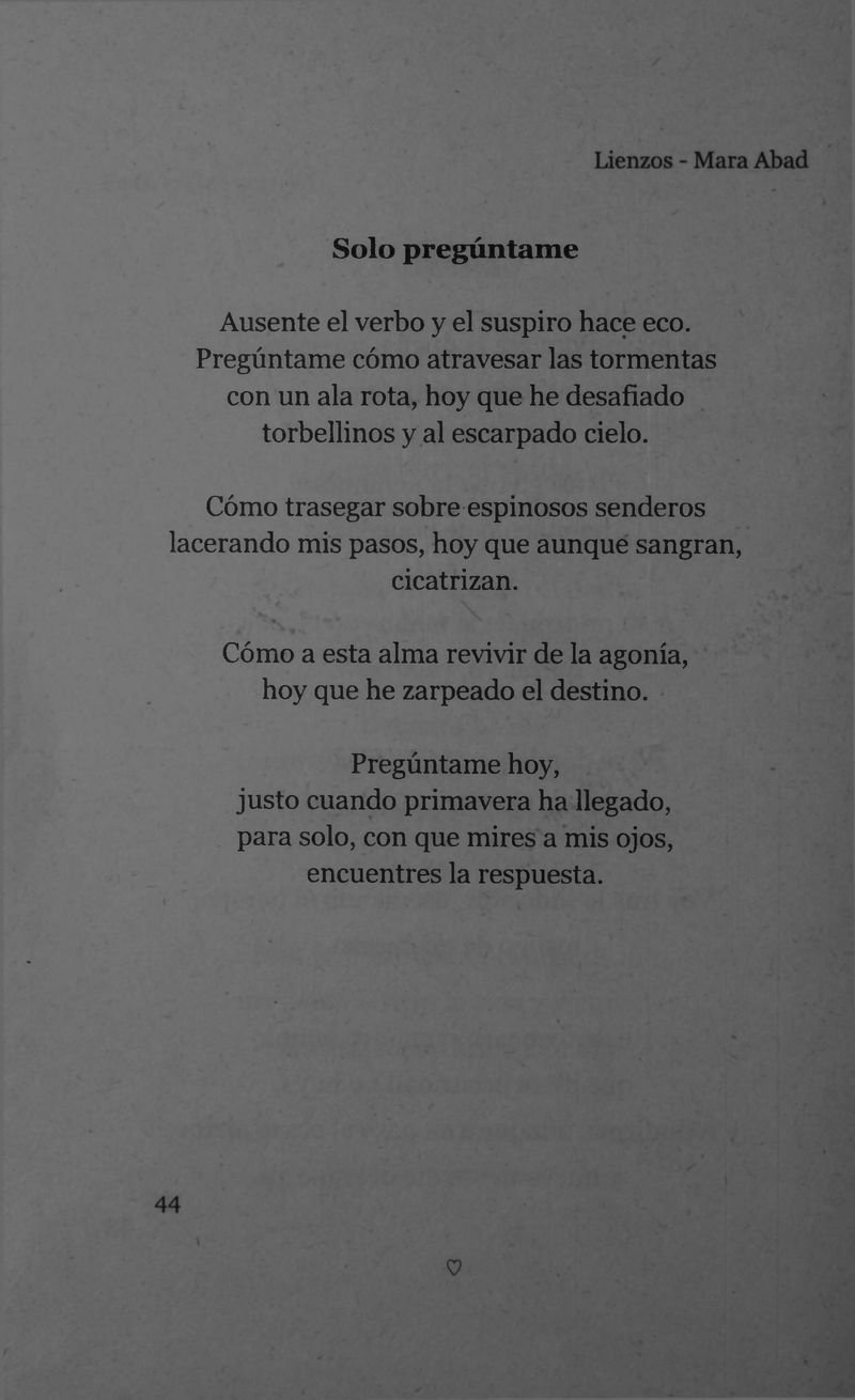 Pagina 46 de Lienzos