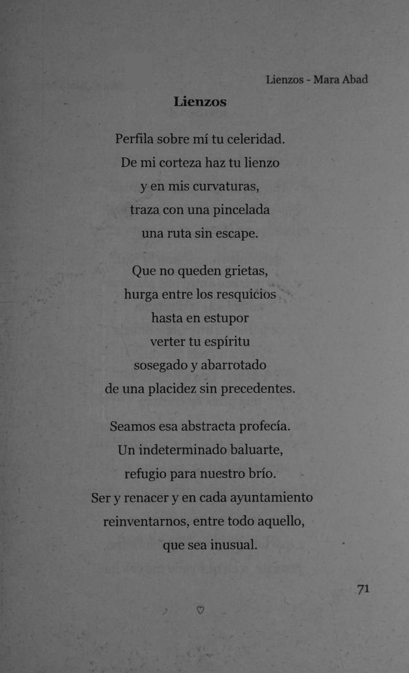 Pagina 73 de Lienzos
