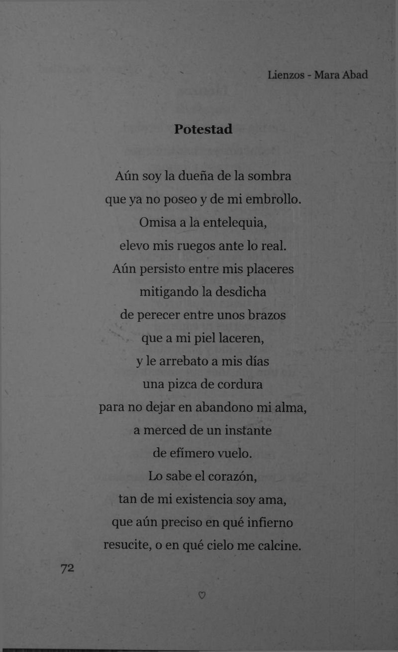 Pagina 74 de Lienzos