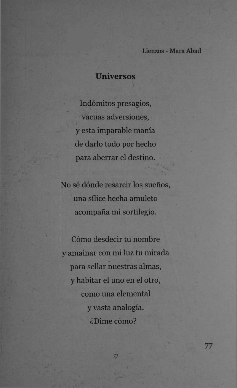 Pagina 79 de Lienzos