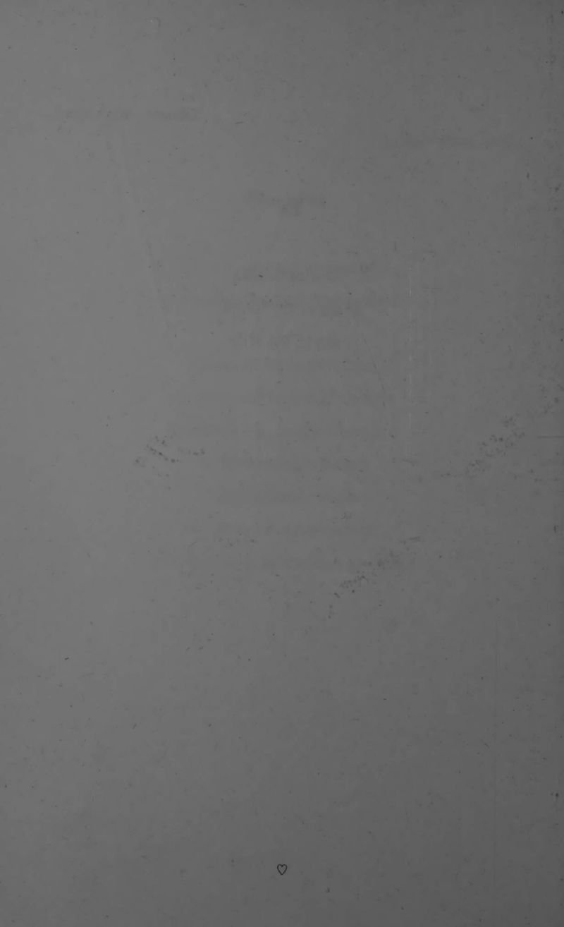 Pagina 86 de Lienzos