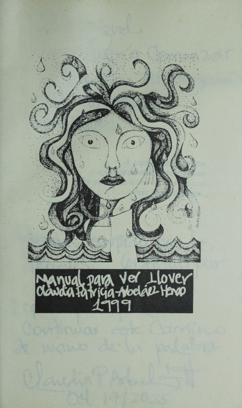 Pagina 3 de Manual para ver llover