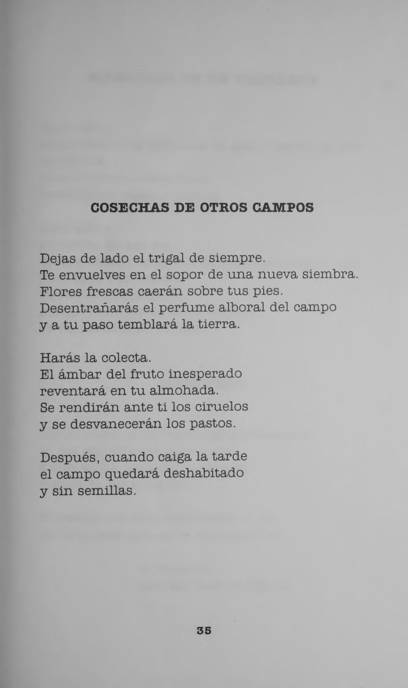 Pagina 37 de Manual para ver llover