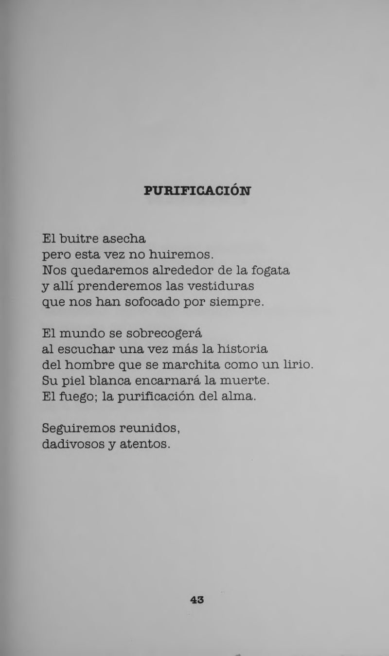 Pagina 45 de Manual para ver llover