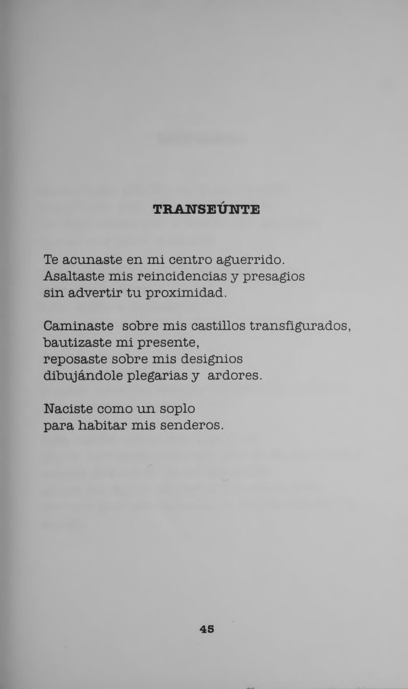Pagina 47 de Manual para ver llover