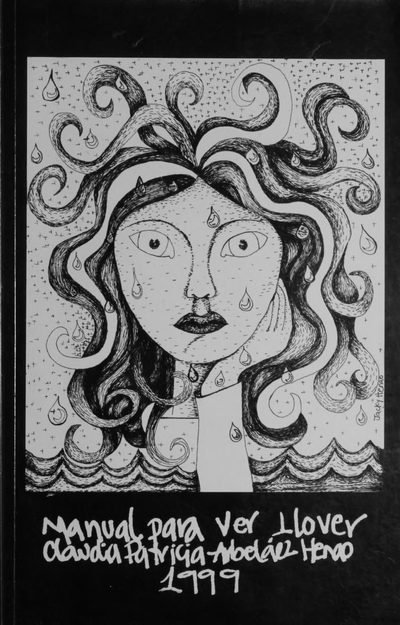 Portada de Manual para ver llover