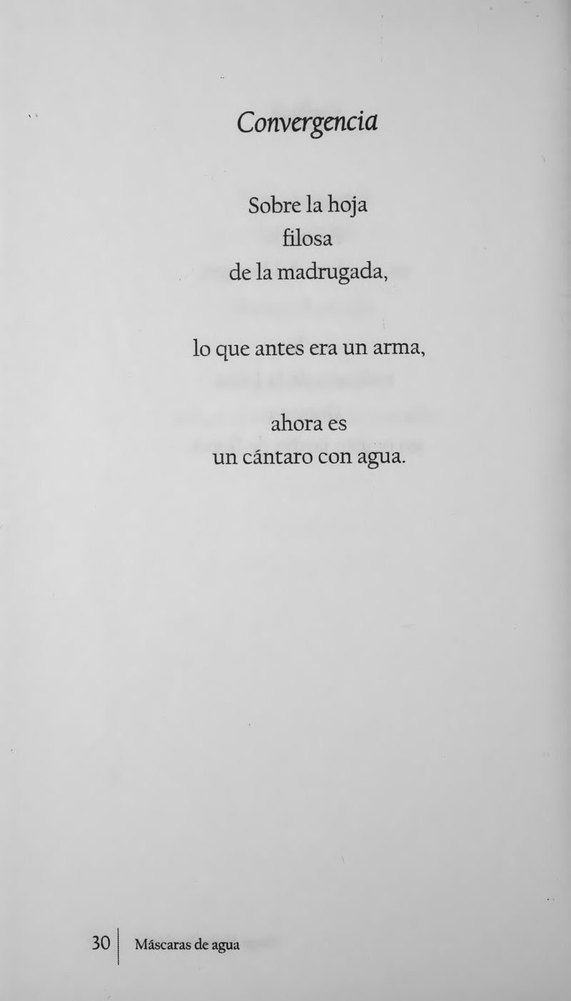 Pagina 33 de Máscaras de Agua