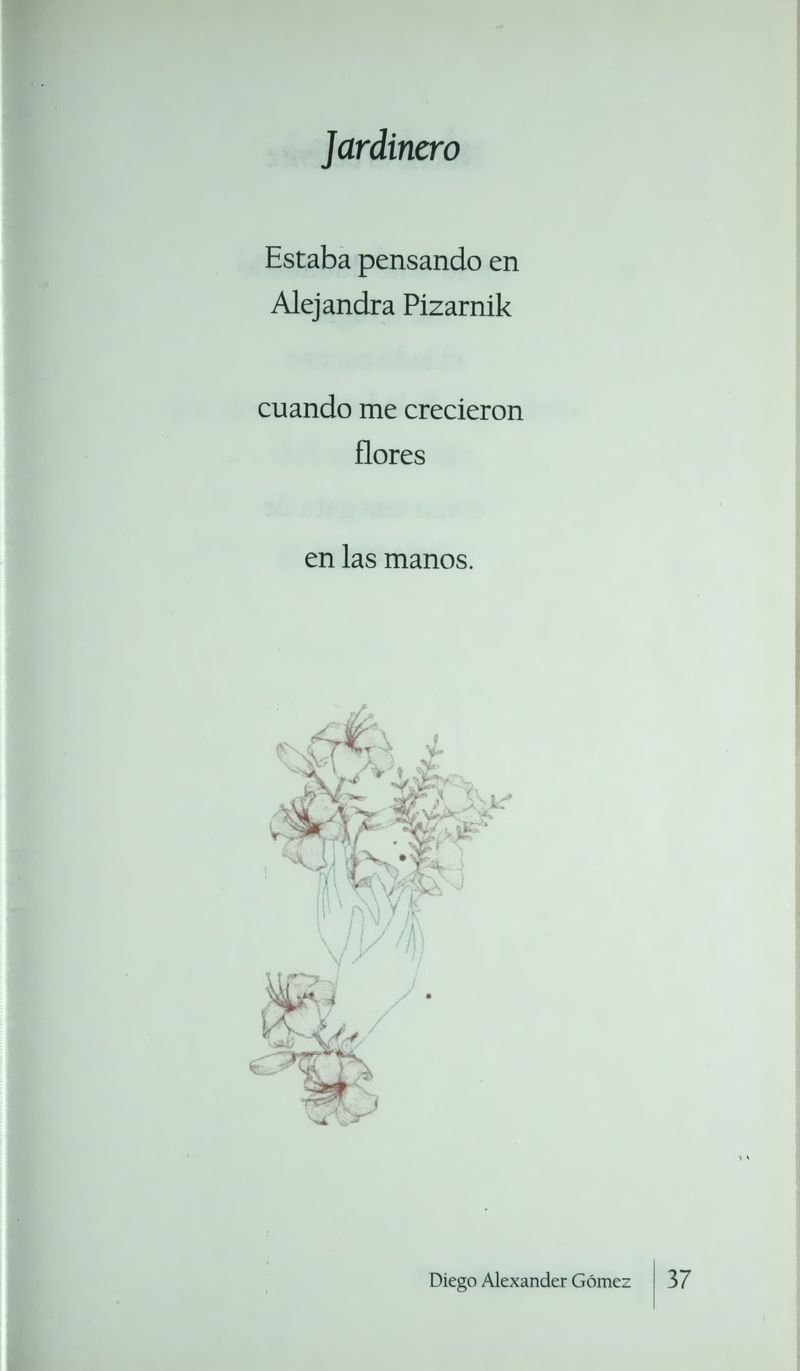 Pagina 40 de Máscaras de Agua