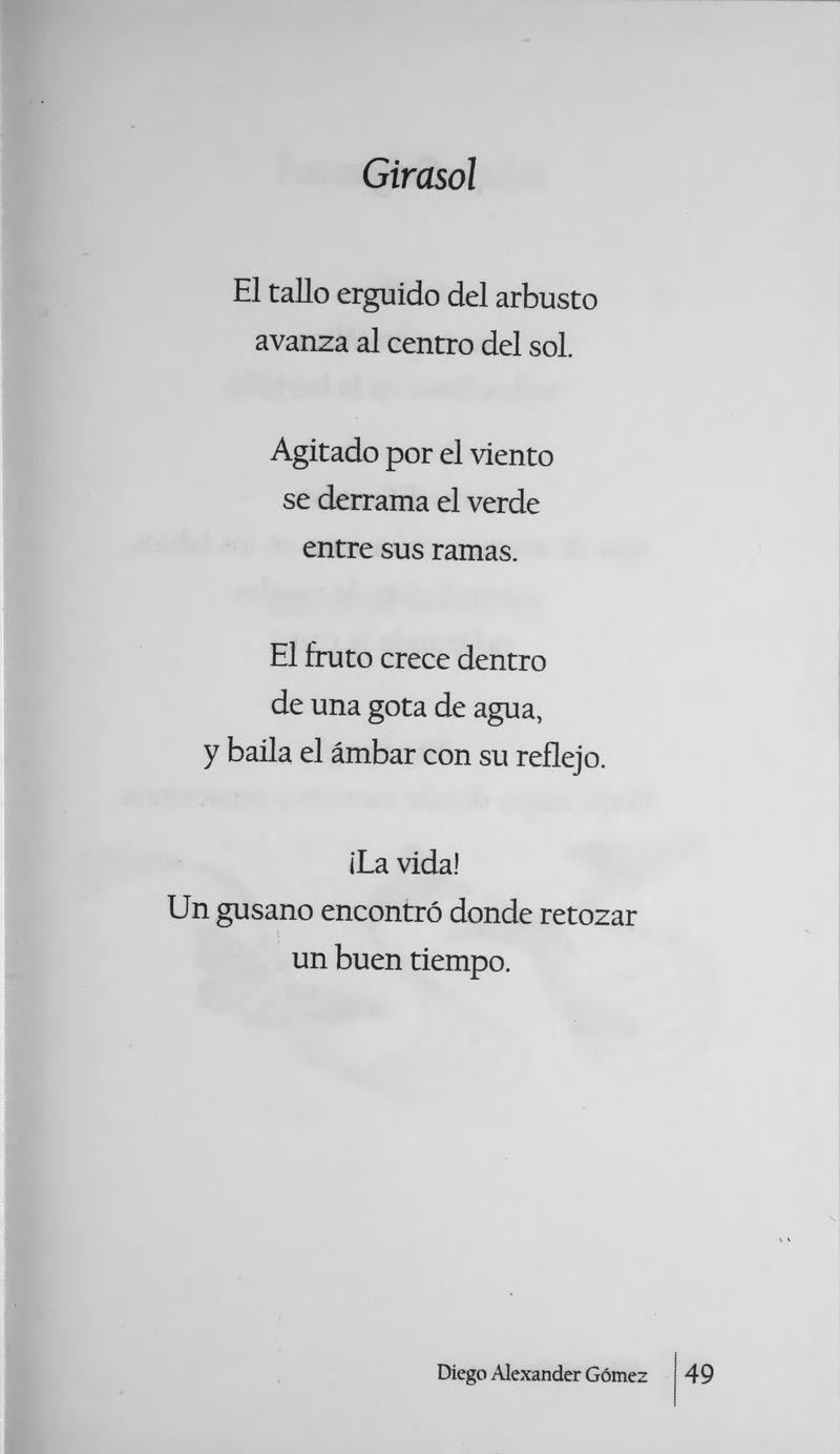 Pagina 52 de Máscaras de Agua
