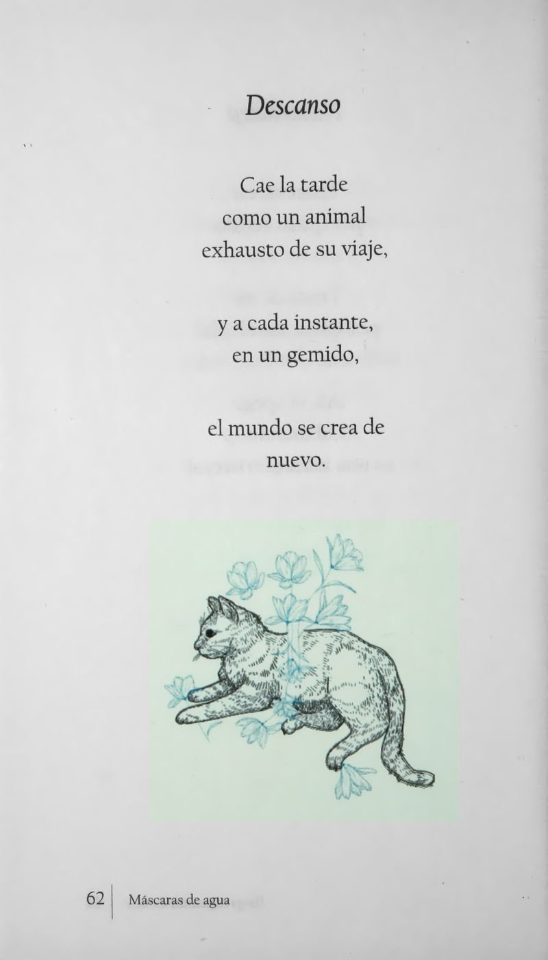 Pagina 65 de Máscaras de Agua