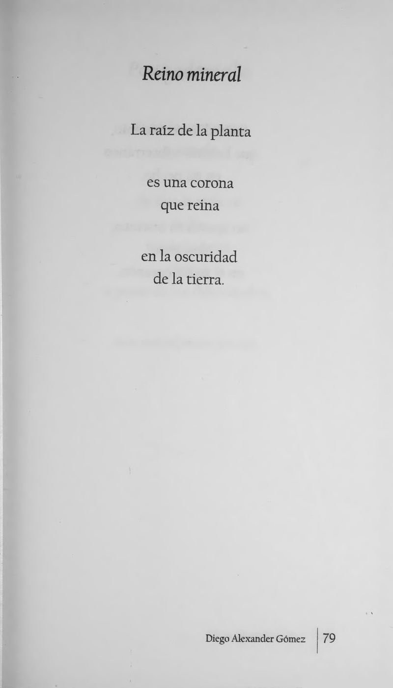 Pagina 82 de Máscaras de Agua