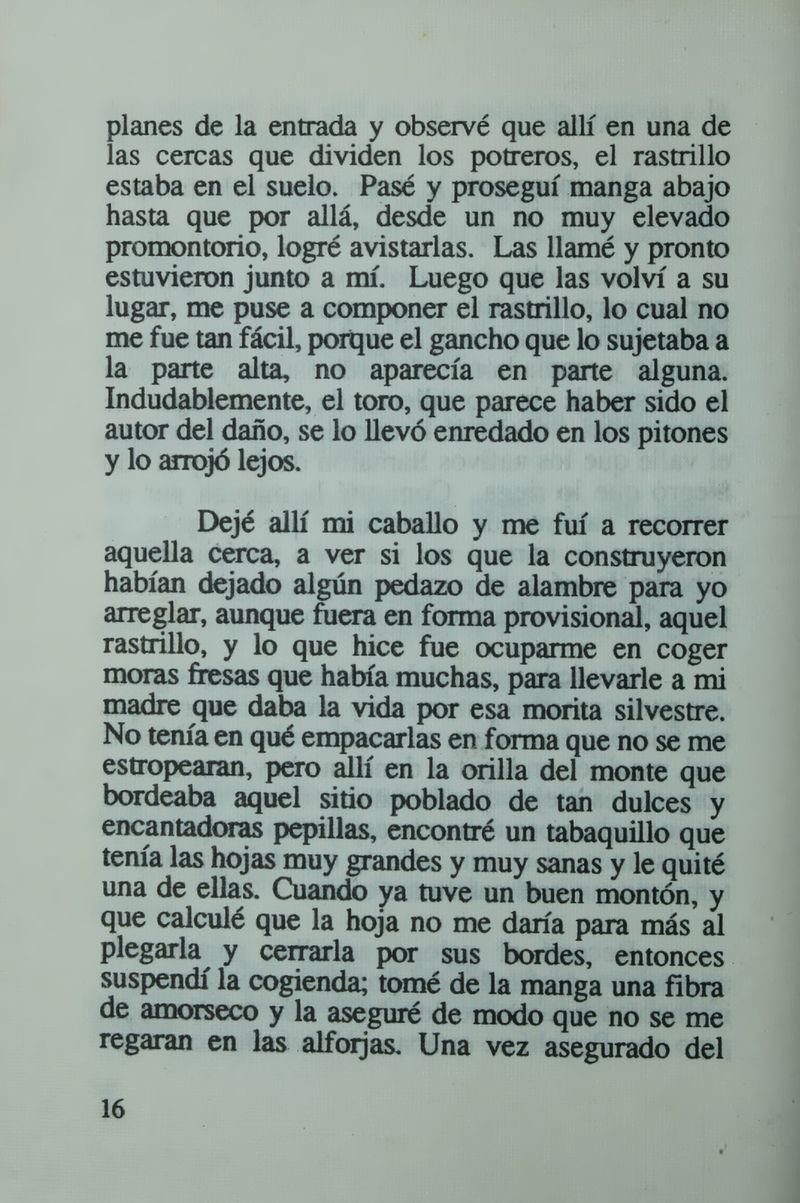 Pagina 22 de Mi tope con las Hadas
