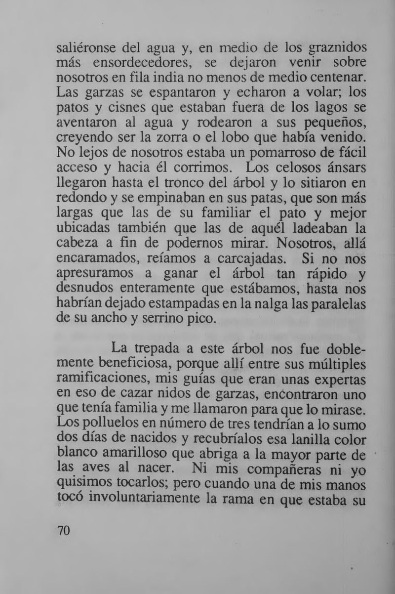 Pagina 76 de Mi tope con las Hadas