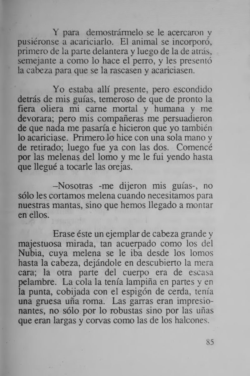 Pagina 91 de Mi tope con las Hadas