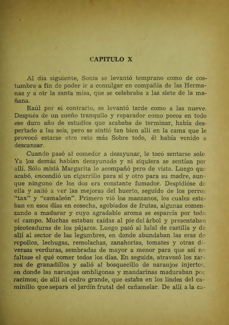 Pagina 43 de Sonia