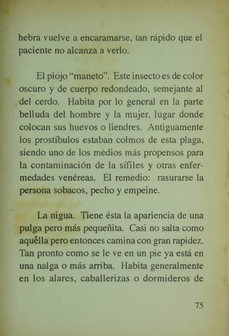 Pagina 79 de Veinte historietas del pasado