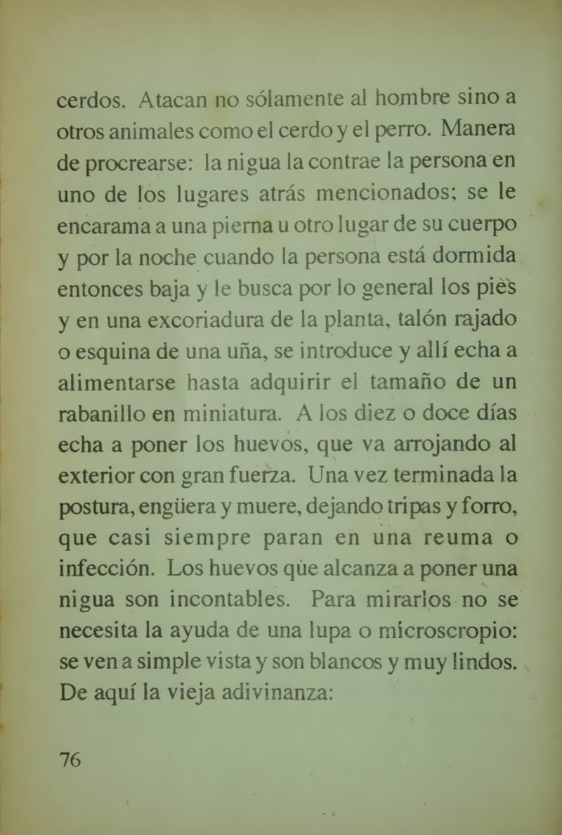Pagina 80 de Veinte historietas del pasado